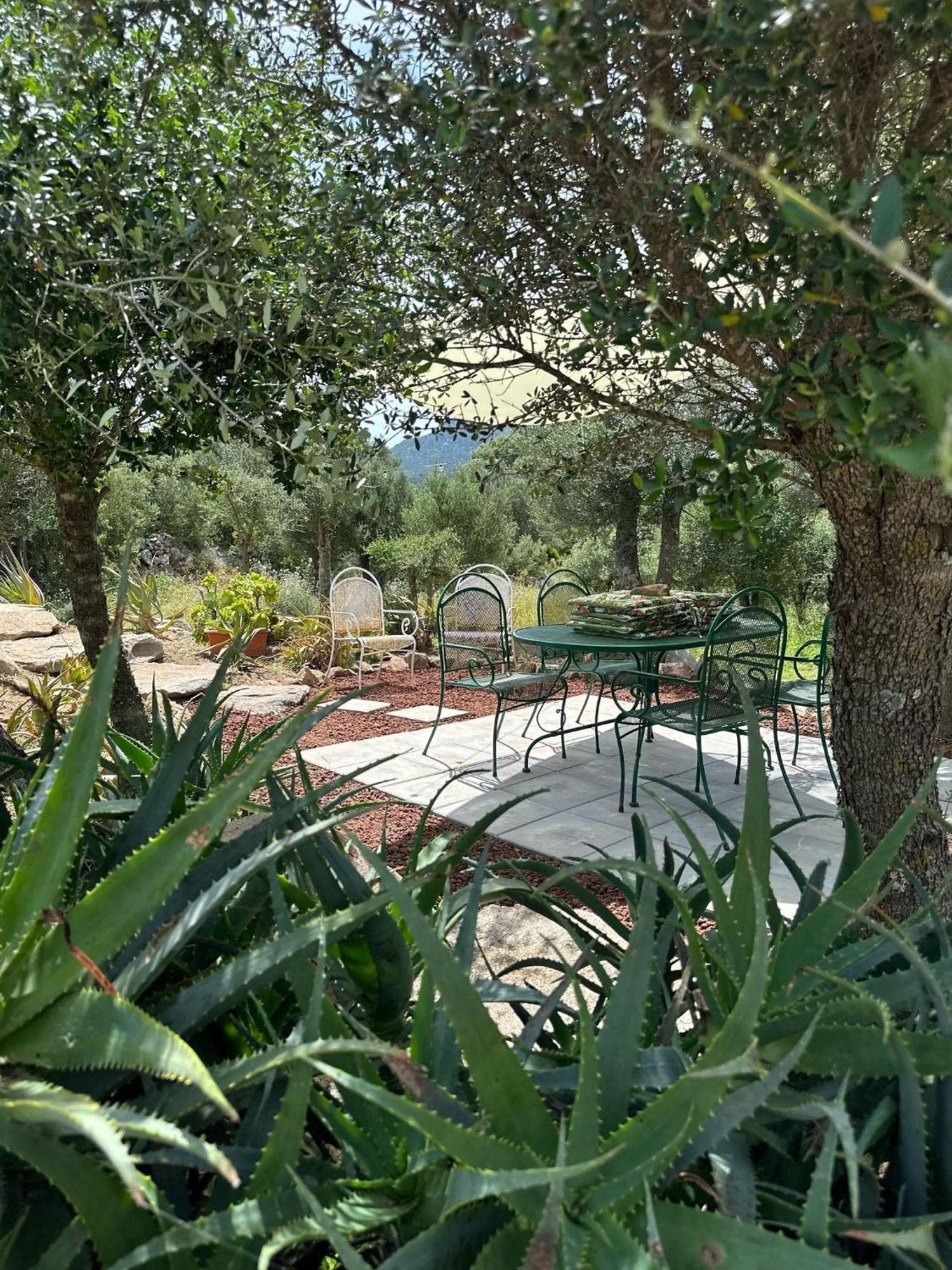 Casa Mariposa Porto Rotondo Villa Rudalza Exterior photo